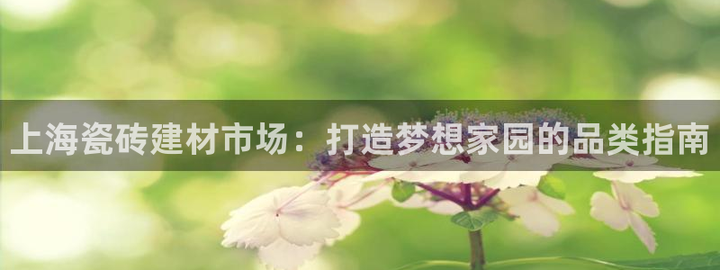 杏鑫手机客户端