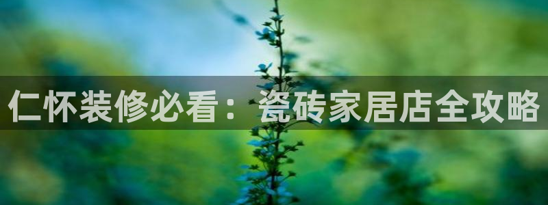杏鑫平台代理注册流程图