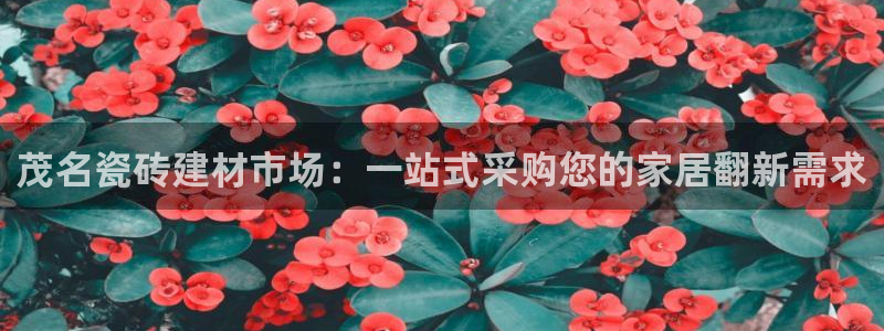 杏鑫平台注册网址