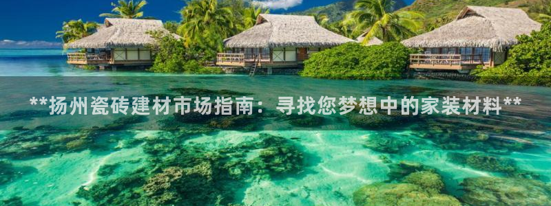 杏鑫官网注册账号是什么样的