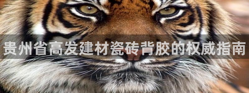 杏鑫注册平台官方网站是什么