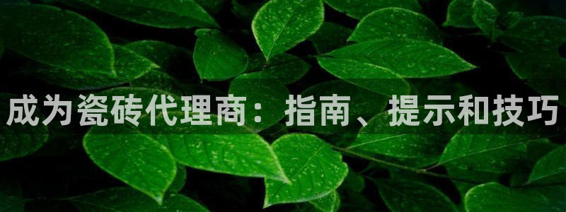 杏鑫平台怎么样黑钱吗是真的吗知乎
