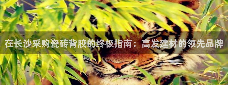 杏鑫注册地址