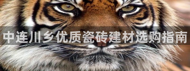 杏鑫娱乐平台