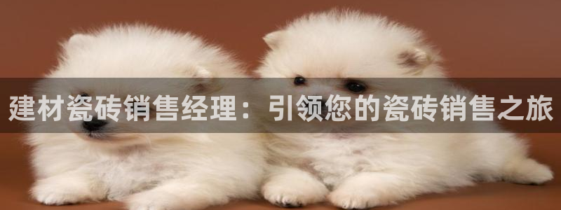 杏鑫平台代理注册多少钱啊