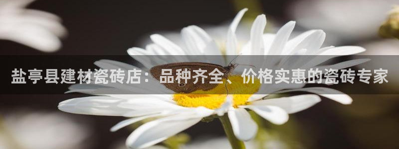 杏鑫注册登录网址是多少