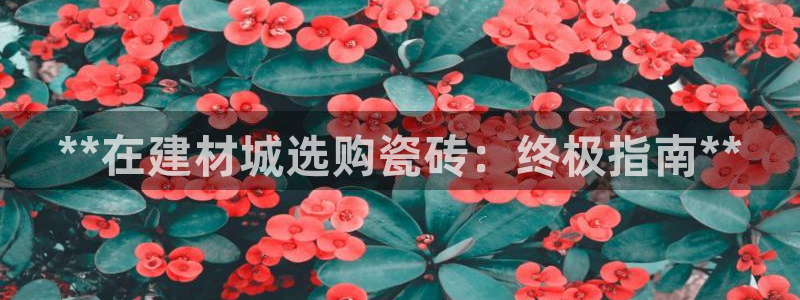 杏鑫平台登录