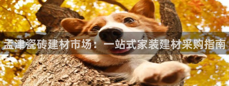 杏鑫娱乐平台登录注册网站