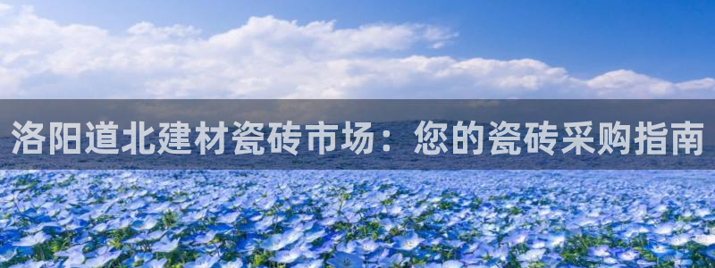 杏鑫平台是黑平台吗是真的吗