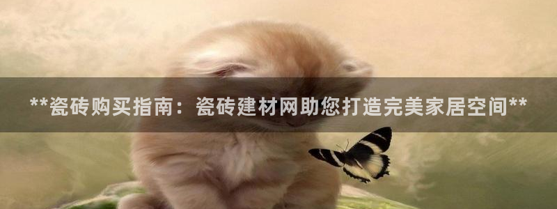 杏鑫代理注册登录