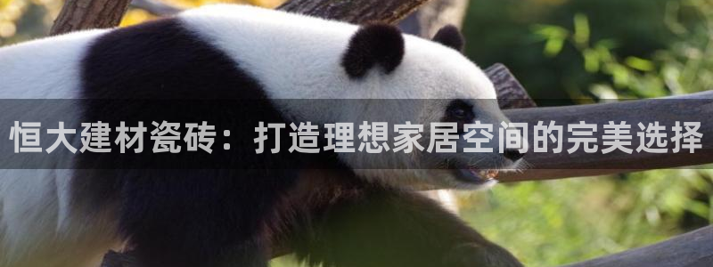 杏鑫平台代理注册多少钱一个