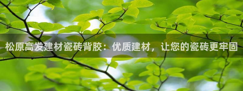 杏鑫注册地址