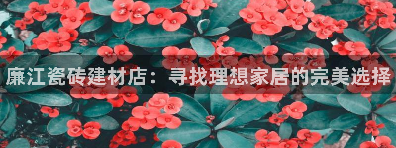 杏鑫官方平台怎么样啊知乎