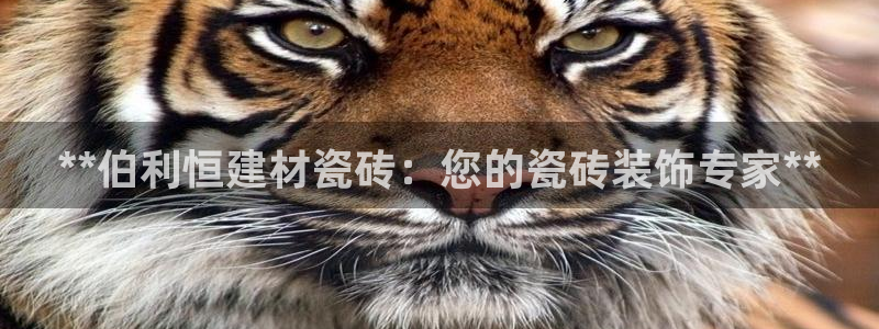 杏鑫注册平台官方网站是什么