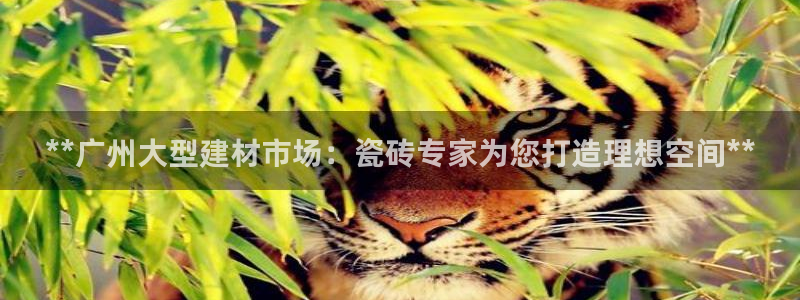 杏鑫平台测速怎么样
