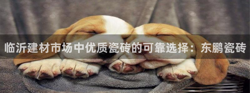 杏鑫官网注册账号怎么注册