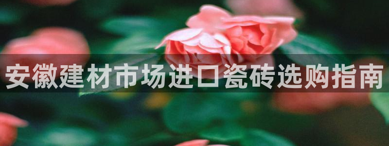 杏鑫平台线路测速