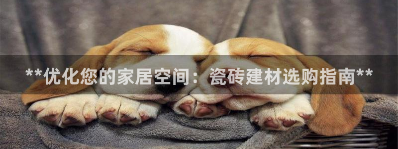 杏鑫平台正规吗