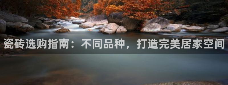 杏鑫平台在线注册
