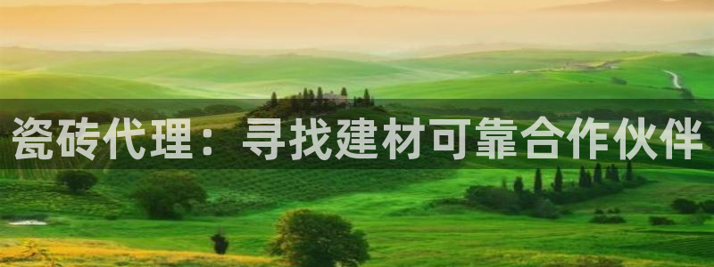 杏鑫官网注册账号是什么样的