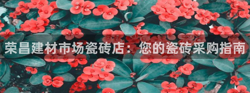 杏鑫娱乐官方网站客户端