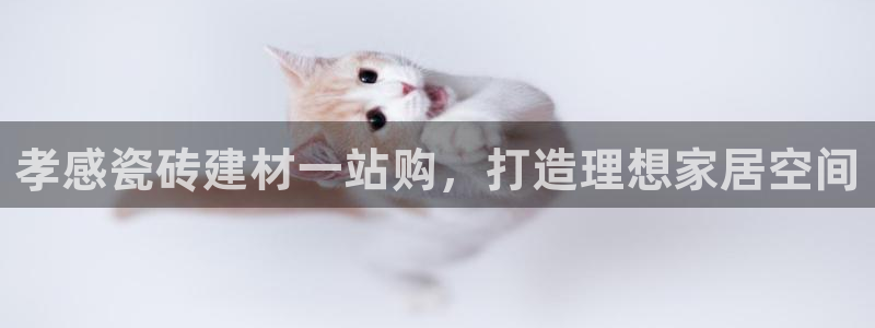 杏鑫平台注册入口在哪里找