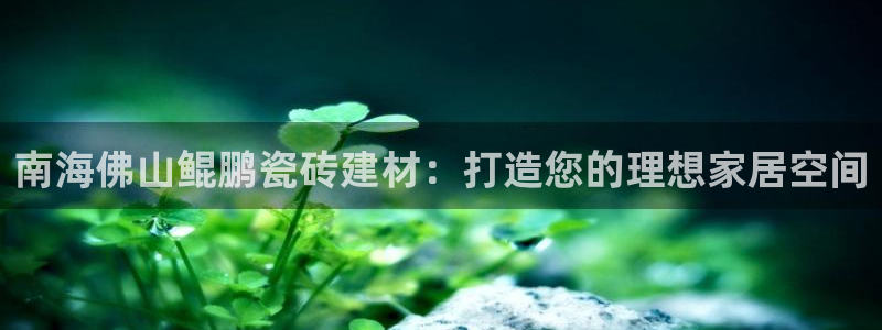 杏鑫平台招商电话号码