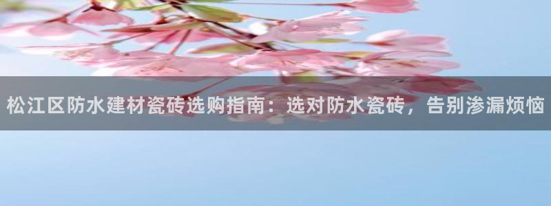 杏鑫平台怎么样知乎
