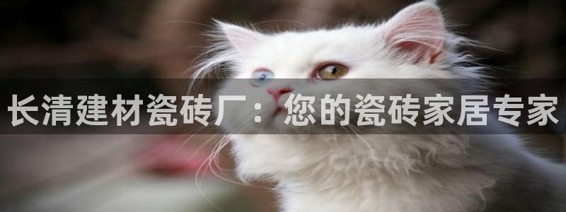 杏鑫平台官方网站