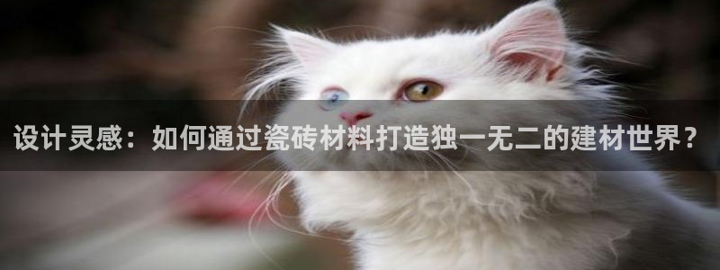 杏鑫娱乐官网下载