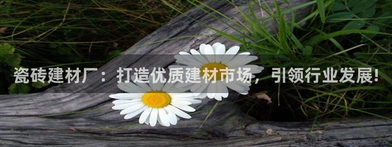 杏鑫平台靠谱吗