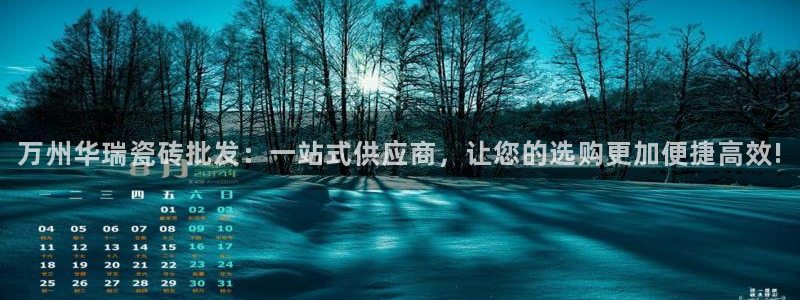 杏鑫官方app代理