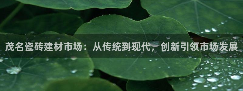 杏鑫官网最新信息新闻