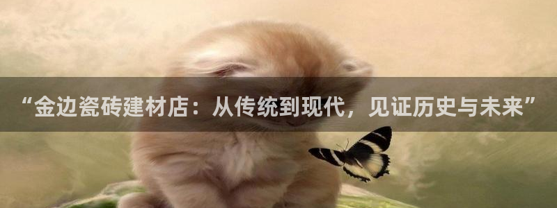 杏鑫招商总代