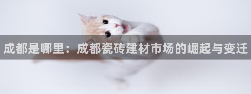 杏鑫有亏损返点吗