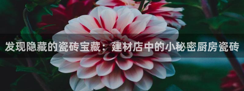 杏鑫娱乐是真的吗