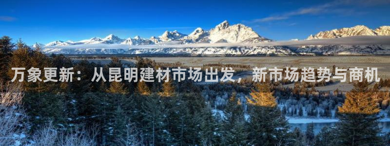 杏鑫平台怎么样黑钱吗安全吗可靠吗