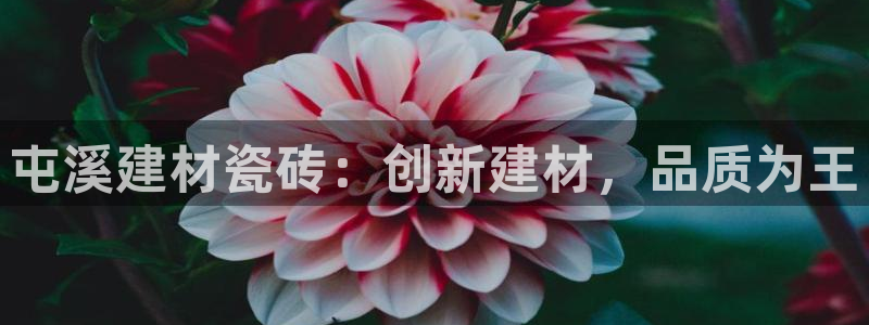 杏鑫娱乐官方网站客户端下载