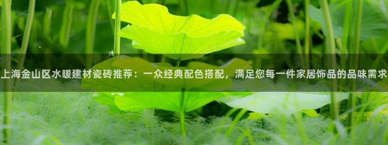 杏鑫招商总代