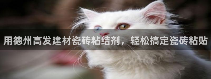 杏鑫娱乐怎么下