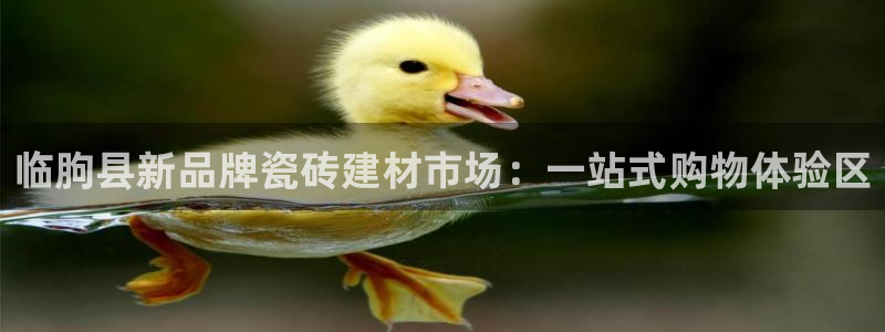 杏鑫平台招商电话号码查询