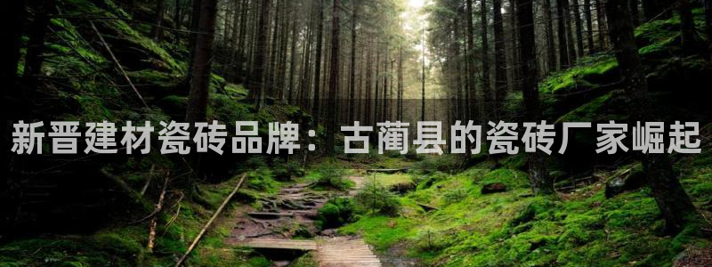 杏鑫官网注册账号是什么样的