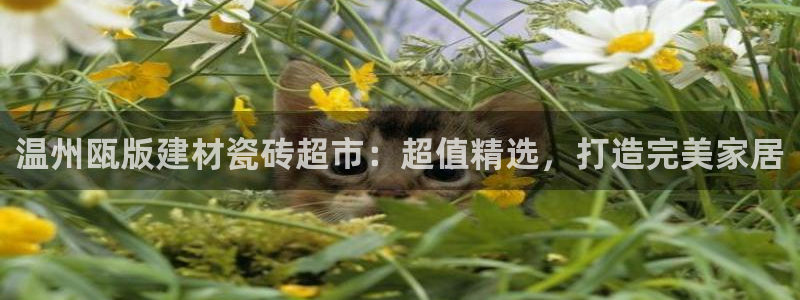 杏鑫平台在线注册