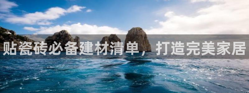 杏鑫平台代理注册流程图
