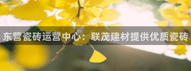 杏鑫官网注册账号是什么