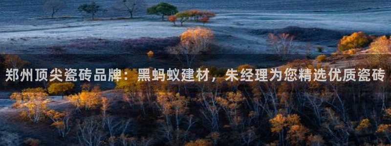 杏鑫注册平台官方网站入口