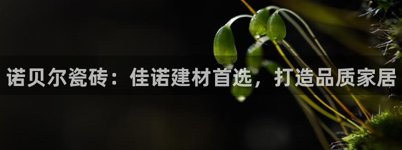 杏鑫注册登录代理公司