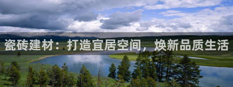 杏鑫注册登录平台是什么