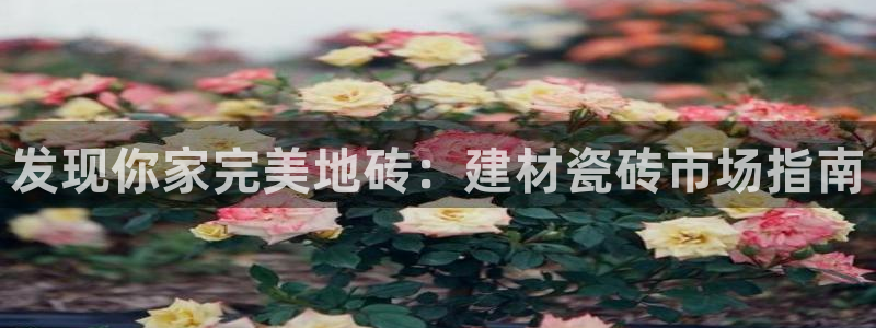 杏鑫官网最新信息