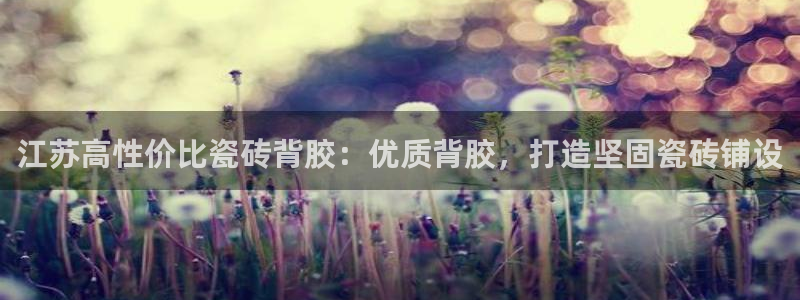 杏鑫代理注册资金多少